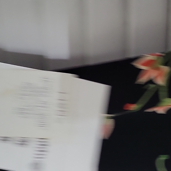 Norm Thompson maxi dress - Picture 3 of 3